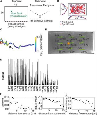 Mouse Navigation Strategies for Odor Source Localization